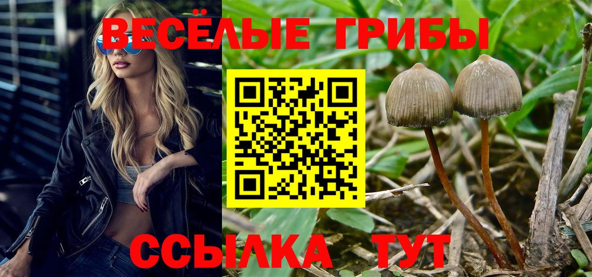 Псилоцибиновые грибы ЛСД  Вход с VPN  Архангельск  Галлюциногенные грибы Magic Shrooms 